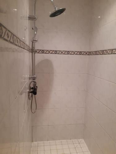 a shower with a shower head in a bathroom at Maison de campagne 10 personnes. in Brizambourg