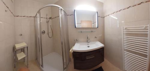 ein Bad mit einer Dusche, einem Waschbecken und einem Spiegel in der Unterkunft Appartement Tamara in Ramsau im Zillertal