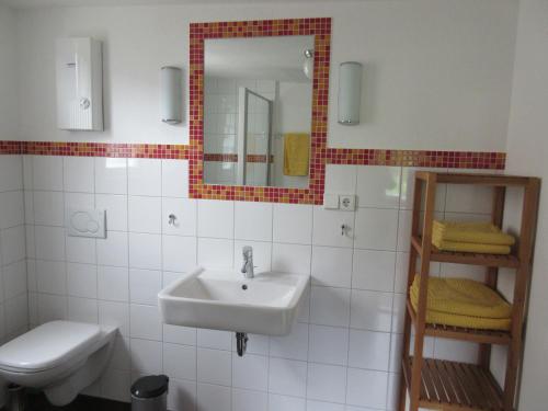 Un baño con lavabo, inodoro y espejo. en Historisches Ferienhaus Abteistraße, en Mesenich