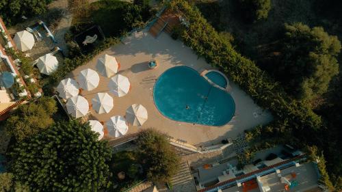 Πισίνα στο ή κοντά στο Pantheon Apartments & Studios