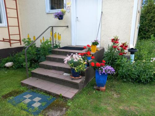 a porch with two vases of flowers in front of a door at Vaskio-bed in Salo