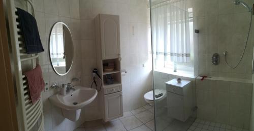 a bathroom with a sink and a toilet and a shower at Gartentraum CO2 neutral in Papenburg