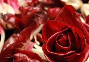a close up of a red rose on a table at Agriturismo Al Gelso in Risano