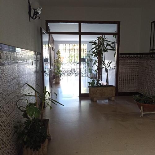 an empty hallway with potted plants and a large glass door at Piso vacacional en Sanlúcar in Sanlúcar de Barrameda