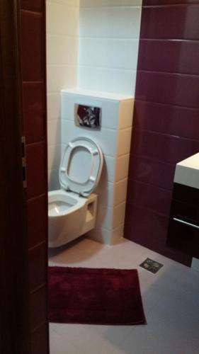 a bathroom with a toilet with the seat up at Apartment Decebal in Mamaia