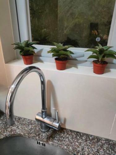 a kitchen sink with three potted plants on a window sill at The Verdin at Maple Grove in Cavite