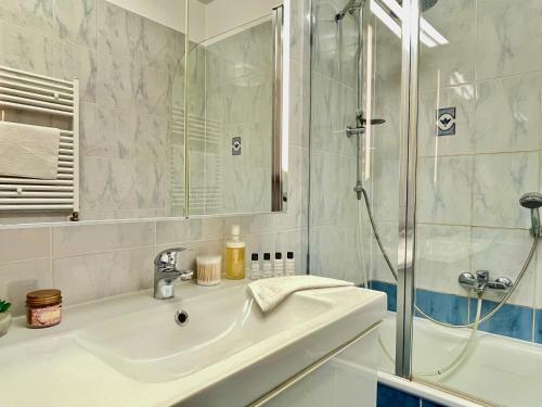 布達佩斯的住宿－Marina Panorama Apartment & Garage，一间带水槽和淋浴的浴室