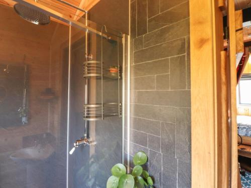 a shower with a bunch of green grapes in a bathroom at Dunfell Shepherd's Hut in Dufton