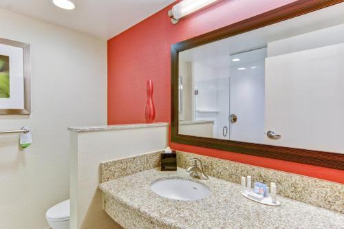 a bathroom with a sink and a mirror at Courtyard by Marriott Bridgeport Clarksburg in Bridgeport