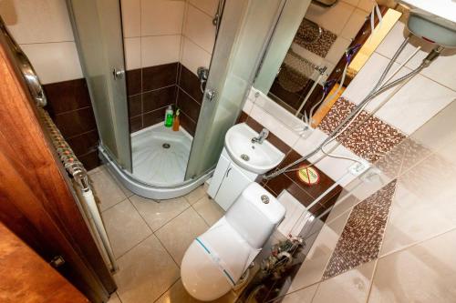 an overhead view of a bathroom with a toilet and a shower at Kvartirkoff na Polku Azov 32b in Kyiv