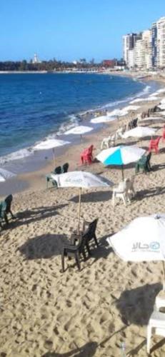 una playa con sombrillas y sillas y el océano en شقة الاسكندريه, en Alejandría