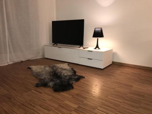 a dog laying on the floor in front of a tv at Appartement New Town in Dresden