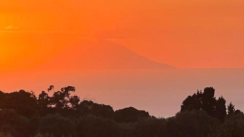 a sunset over the trees with a mountain in the background at B&B Casale Pietrantica Tropea in Ciaramiti