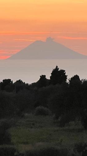 a mountain in the middle of a field with trees at B&B Casale Pietrantica Tropea in Ciaramiti