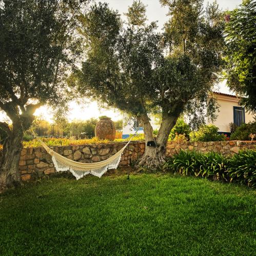 a hammock hanging between two trees in a yard at Casa de Campo, Quinta do Funchal in Arraiolos