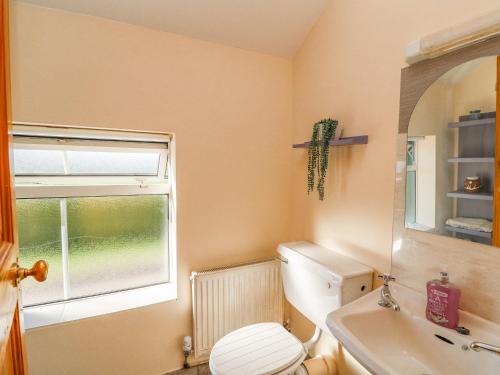 a bathroom with a toilet and a sink and a window at Valley View in Enniscorthy