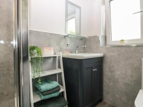 a bathroom with a sink and a mirror and a towel rack at 2 Station Road East in Peterculter