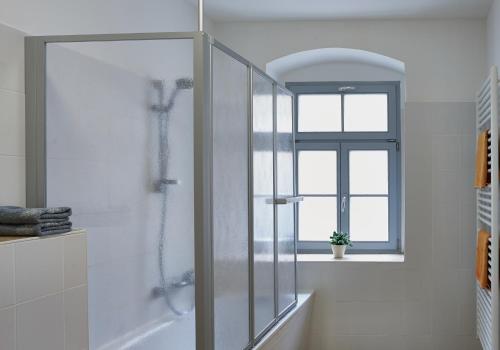 Bilik mandi di Ferienwohnung Priessnitz