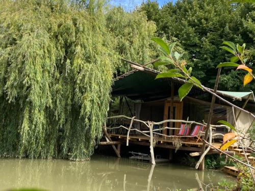 阿爾科巴薩的住宿－Parque dos Monges，水中木筏上的房屋