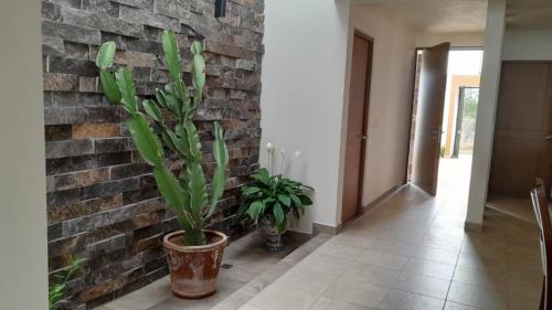 Fotografie z fotogalerie ubytování Casita En Patzcuaro v destinaci Pátzcuaro