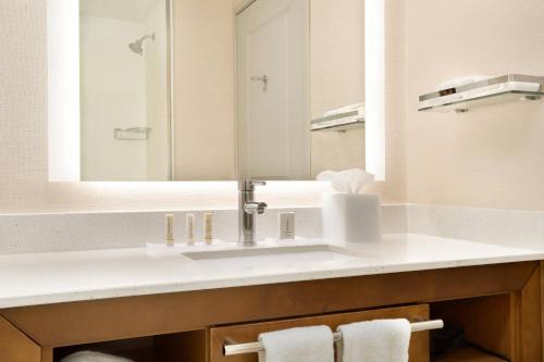 a bathroom with a sink and a mirror at Residence Inn by Marriott Phoenix Chandler/South in Chandler