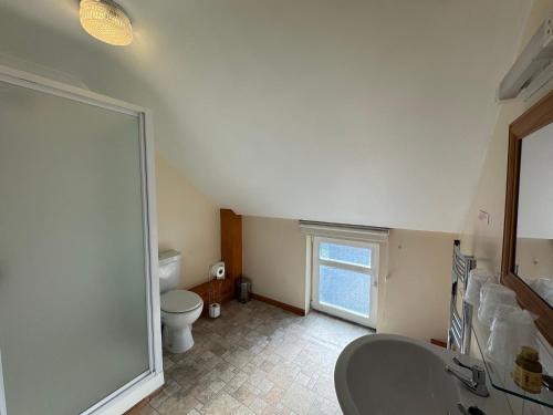 Łazienka z białą toaletą i umywalką w obiekcie The Carpenters Arms Rooms in Broadway, Laugharne w mieście Laugharne