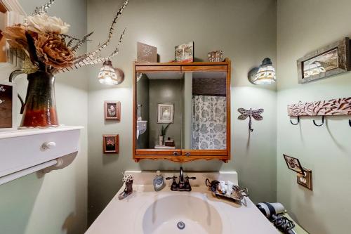 a bathroom with a sink and a mirror at Pisgash Cottage in Pisgah Forest