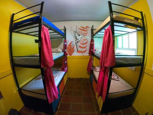 a room with two bunk beds in a room at Solar Hostel Búzios in Búzios