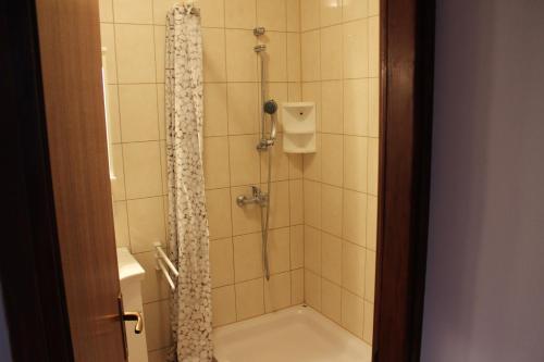 bagno con doccia e tenda doccia di Apartments Marszalek a Novalja (Novaglia)