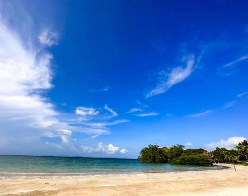 a beach with trees and the ocean under a blue sky at La Tranquilidad Twin Beach Resort in Dipnay