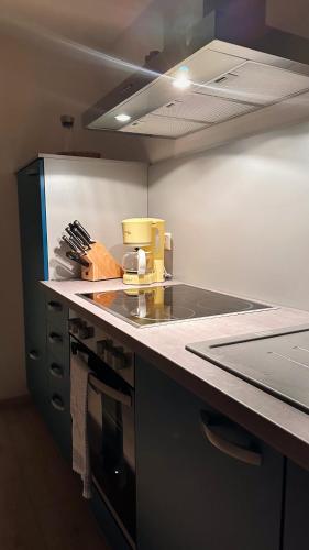 a kitchen with a counter with a stove top oven at Ferienwohnungen Hexenstieg & Wurmbergblick in Schierke