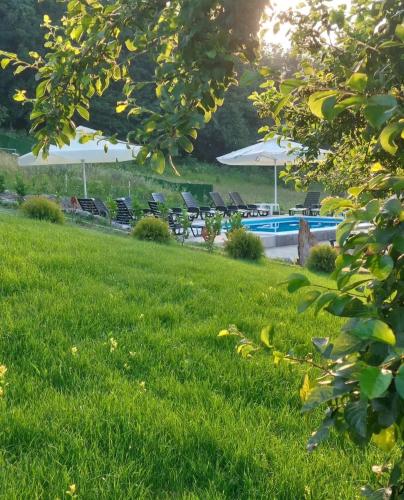 a group of chairs and umbrellas in a grass field at Palanačka Avlija 3 in Ripanj