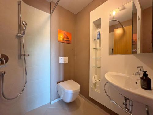 魏勒錫默貝格的住宿－Lichtblick，带淋浴、卫生间和盥洗盆的浴室