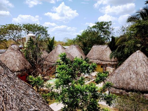 a group of houses with thatched roofs and trees at Casa Maya Melipona - Alberca - Wifi Starlink - Tour Sostenibilidad in Izamal