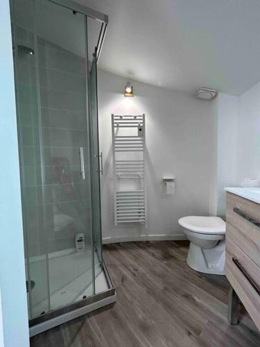 une salle de bain avec une douche en verre et des toilettes dans l'établissement Maison de village, centre historique, à Sérignan