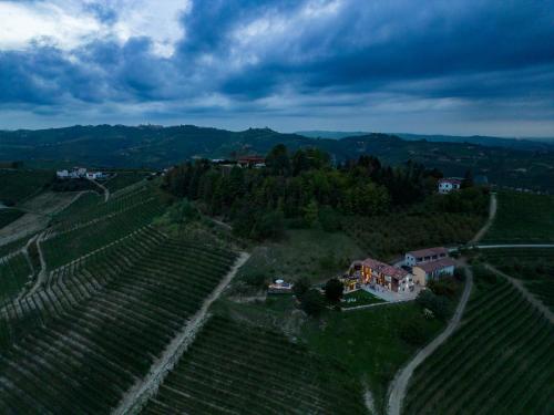 an aerial view of a vineyard and a house on a hill at Cascina Portinale 8 in Alba