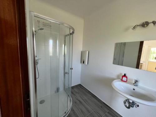 a bathroom with a glass shower and a sink at Luxembourg House in Sanem
