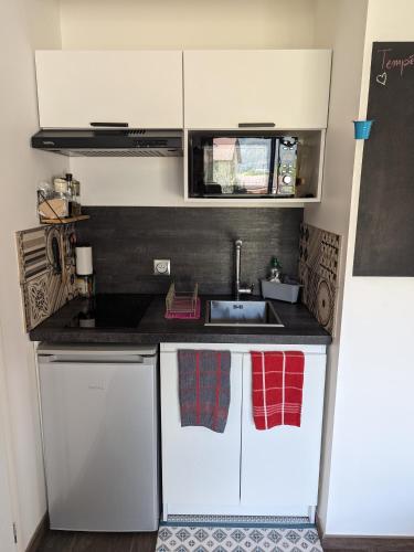 a small kitchen with a sink and a stove at Studio à la campagne au bout du lac d'Annecy in Doussard