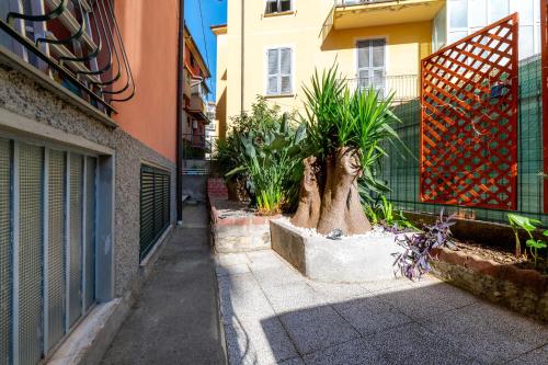 a tree stump sitting on the side of a street at Maison d' Ofelia in Chiavari