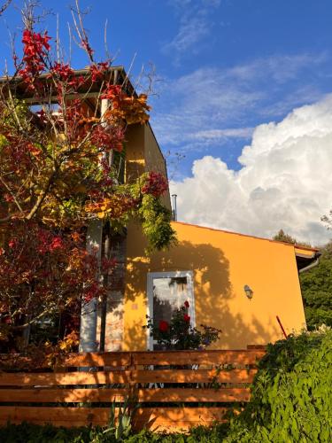 une maison jaune avec un arbre devant elle dans l'établissement La Fucinaia Pet Friendly B&B, à Campiglia Marittima