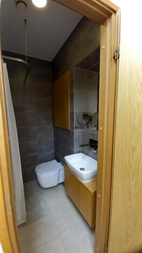 uma casa de banho com um lavatório e um WC em Lutsu 12 Apartment - Self check-in em Tartu