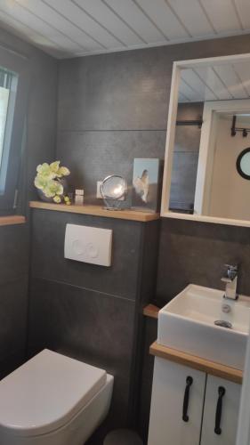 La salle de bains est pourvue de toilettes blanches et d'un lavabo. dans l'établissement Tiny House 14 - Sollberg, à Salzhemmendorf