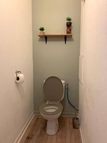 a bathroom with a toilet and a shelf with plants at L'oasis aux portes de Toulouse in Muret