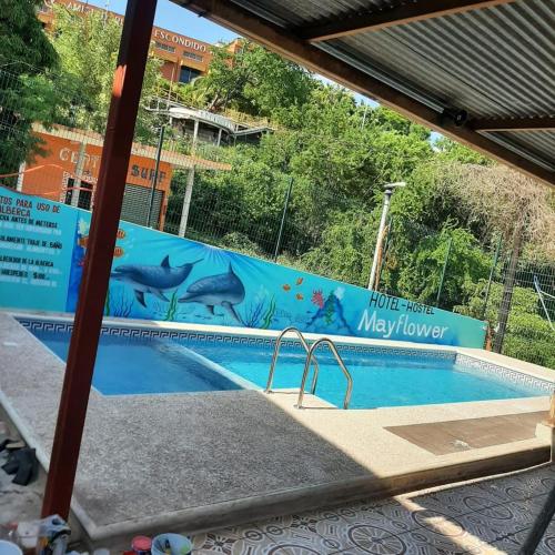 a swimming pool with a mural of whales and sharks at MayFlower Hotel & Hostal in Puerto Escondido