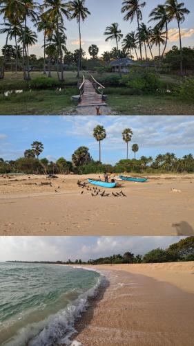 two pictures of a beach with people on the beach at 108 Palms Beach Resort in Trincomalee