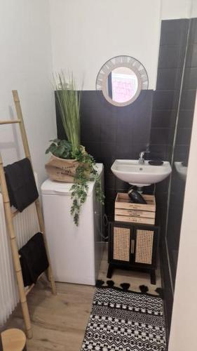 une salle de bain avec un lavabo, des toilettes et un miroir dans l'établissement Centre historique de Saverne, bel appartement de 65 m2, Hyper Centre zone piétonne, Parking gratuit à proximité, à Saverne