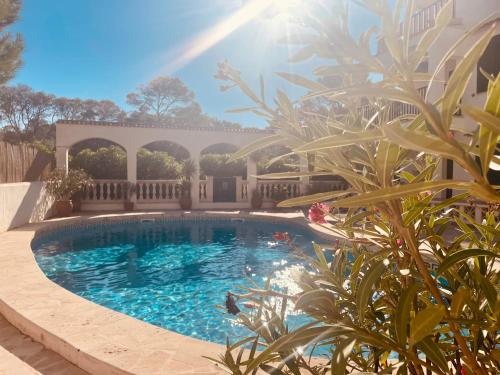 una piscina en un patio con plantas en Can Somni - Appartement bohème, zen et chic avec piscine en Cala Figuera