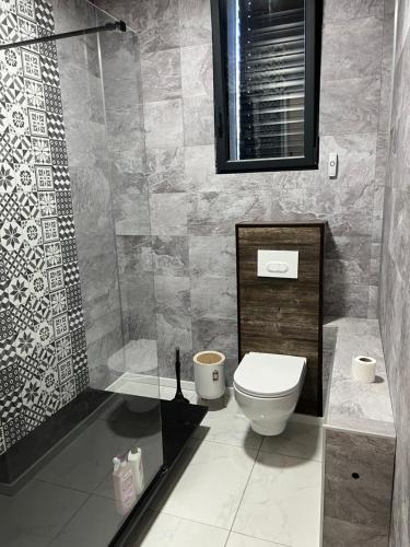 a bathroom with a toilet and a shower at Magnifique maison contemporaine proche lac d’Aix in Aix-les-Bains