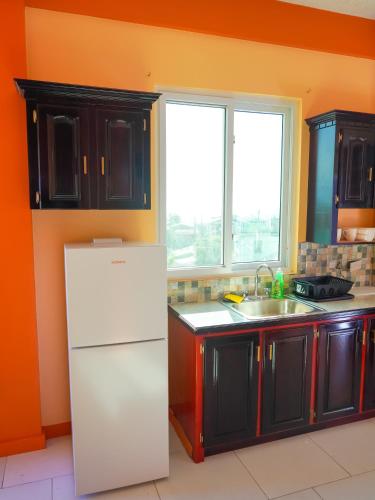 a kitchen with a white refrigerator and a window at RJ Residences in Roseau