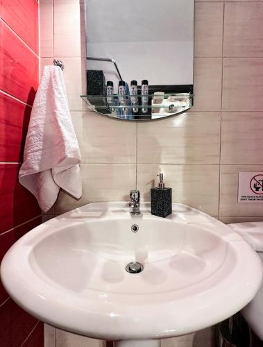 a bathroom with a white sink and a mirror at Central & Riverfront Room 1 in Edessa